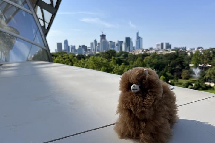 Inside Fondation Louis Vuitton: Private Guided Tour of Gehry's Masterpiece photo 2