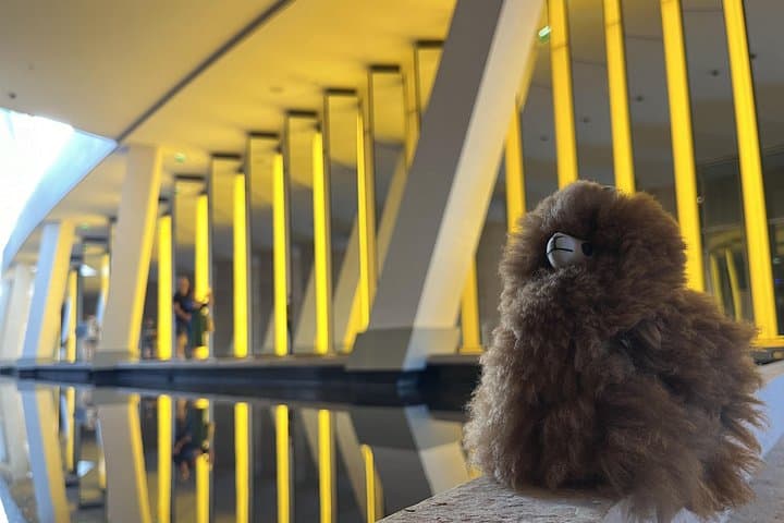 Inside Fondation Louis Vuitton: Private Guided Tour of Gehry's Masterpiece photo 3