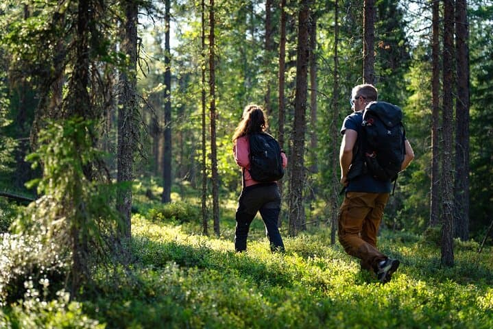 Guided Wilderness Hike in Rovaniemi — Explore Finnish Boreal Forests & Berry Trails