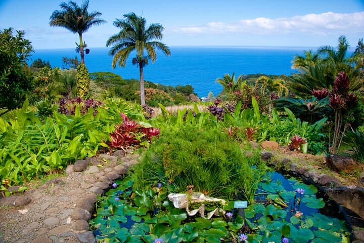 VIP Private Road to Hana Tour in Cadillac Escalade — Luxury Hana Day Trip from Maui photo 2