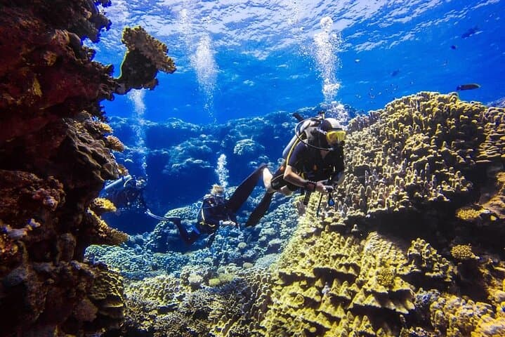 Two Red Sea Boat Dives from Hurghada — Full-Day Trip for Certified Divers photo 2