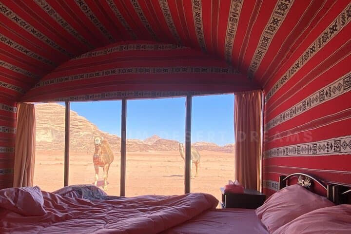 Wadi Rum Sunset Jeep Tour and Overnight Bedouin Camp Experience photo 2