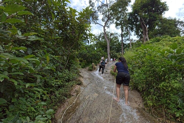 Climb Chiang Mai’s Bua Tong (Sticky) Waterfall: Half-Day Adventure from Chiang Mai photo 4
