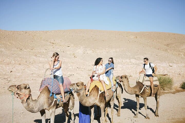 Sunrise Camel Ride and Nomad Breakfast in Agafay Desert Near Marrakech photo 5