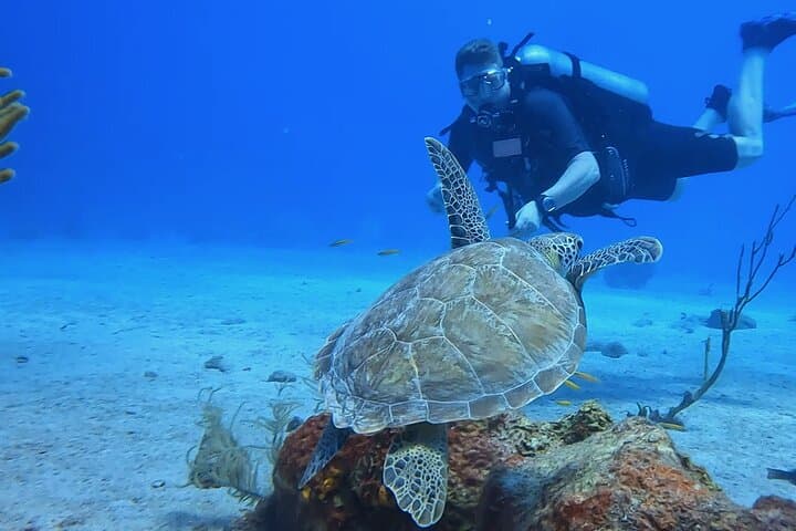 DPV Dive at Director's Bay, Curaçao — Underwater Scooter Reef Adventure photo 4