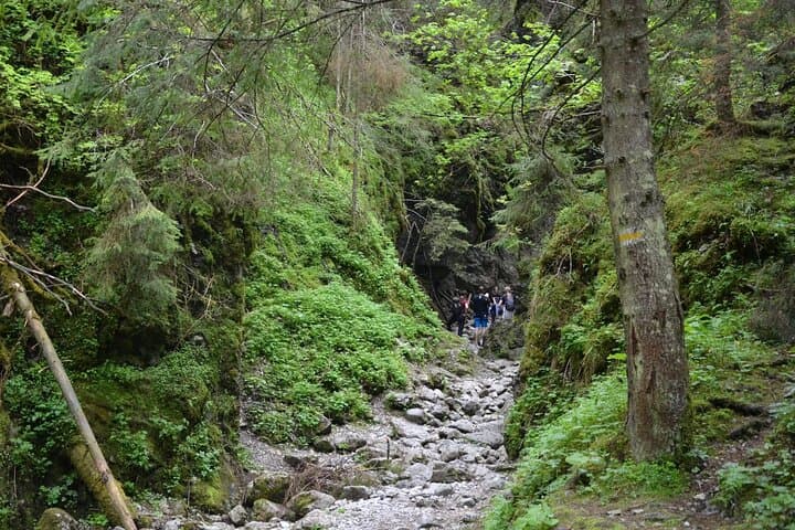 Kościeliska Valley Hike: Easy Private Guided Walk from Zakopane photo 6