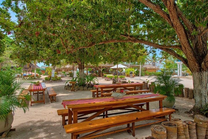 Birding at Isla del Encanto: National Aviary Tour with Beach Access & Transport photo 5