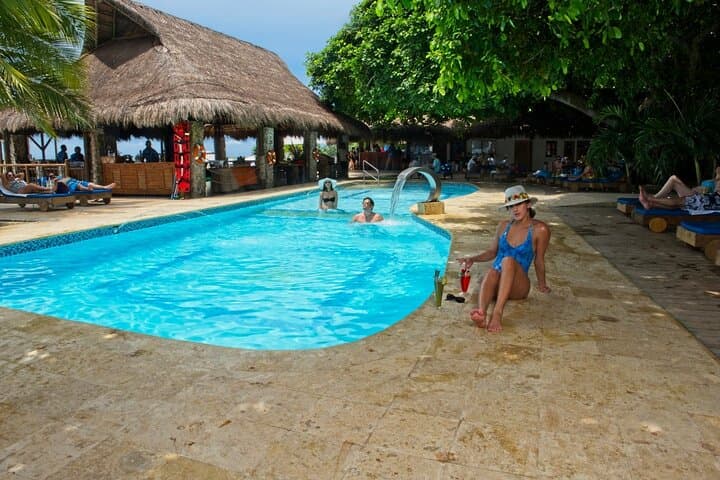 Birding at Isla del Encanto: National Aviary Tour with Beach Access & Transport photo 6