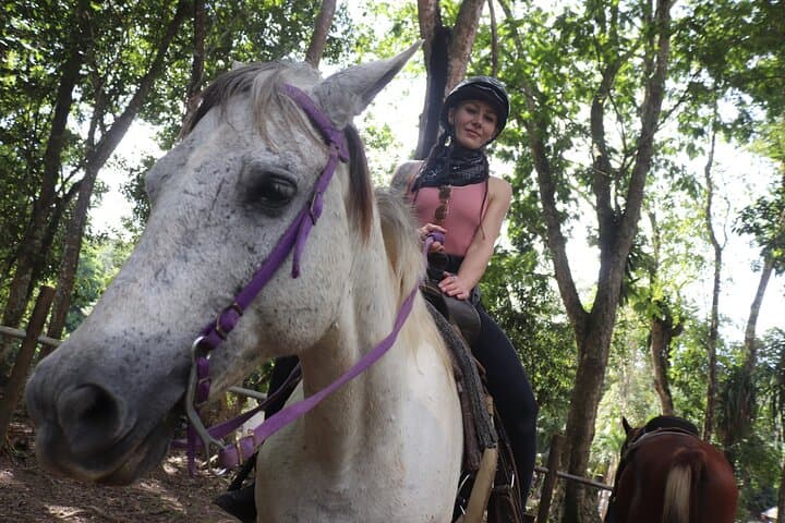 Horseback Riding to Big Rock Falls: Full-Day Tour from San Ignacio, Belize photo 4