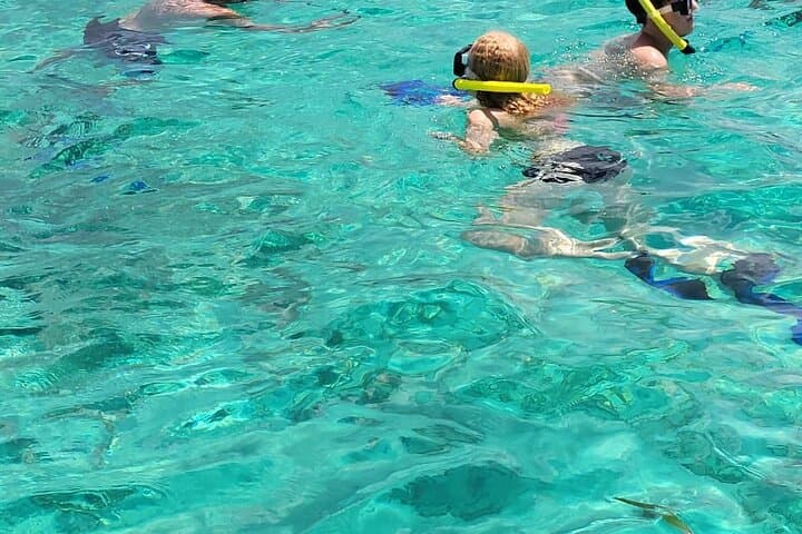 Roatan VIP Free-Style Private Tour — Custom 4-Hour Island Adventure photo 3
