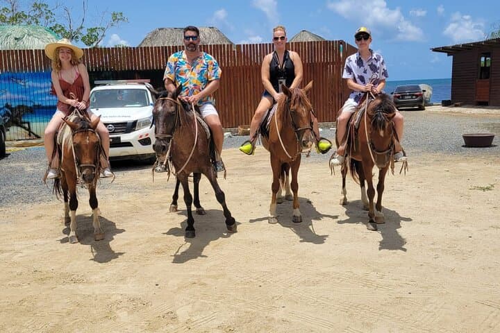 Roatan VIP Free-Style Private Tour — Custom 4-Hour Island Adventure photo 2