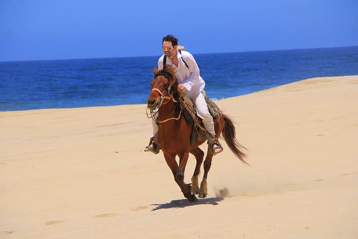 Ride Cabo’s White‑Sand Beaches: 2‑Hour Horseback Adventure & Tequila Tasting photo 2