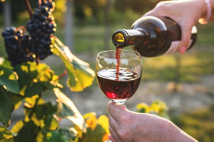 Queenstown More Than A Wine Tour: Central Otago Wine, Scenic Stops & Cardrona Experience photo 2