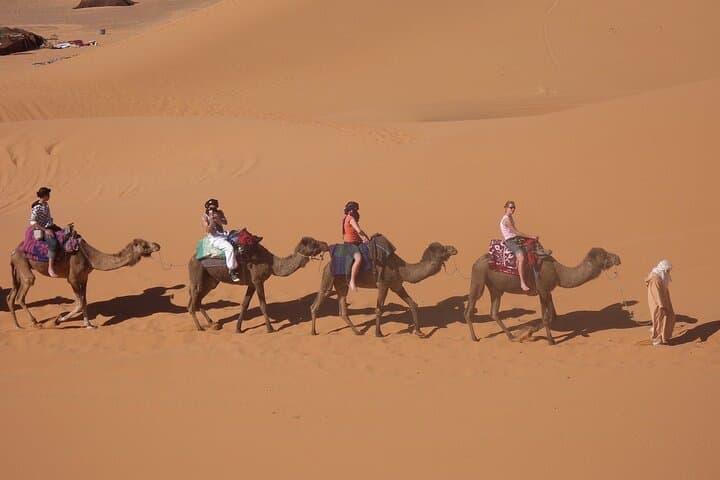Overnight Camel Ride in Merzouga: Sunset Dunes, Berber Camp, and Sandboarding photo 2