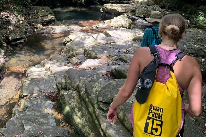 Explore Bach Ma National Park: Private Day Tour from Da Nang & Hoi An photo 3