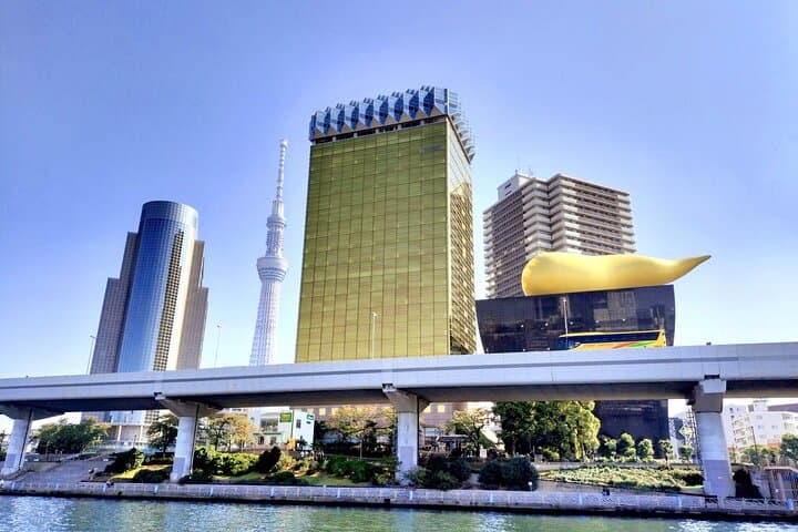Private Half-Day Tokyo Highlights Tour by Car with Licensed Guide