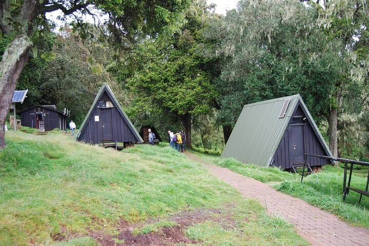 Kilimanjaro One-Day Hike — Marangu Route to Mandara Hut