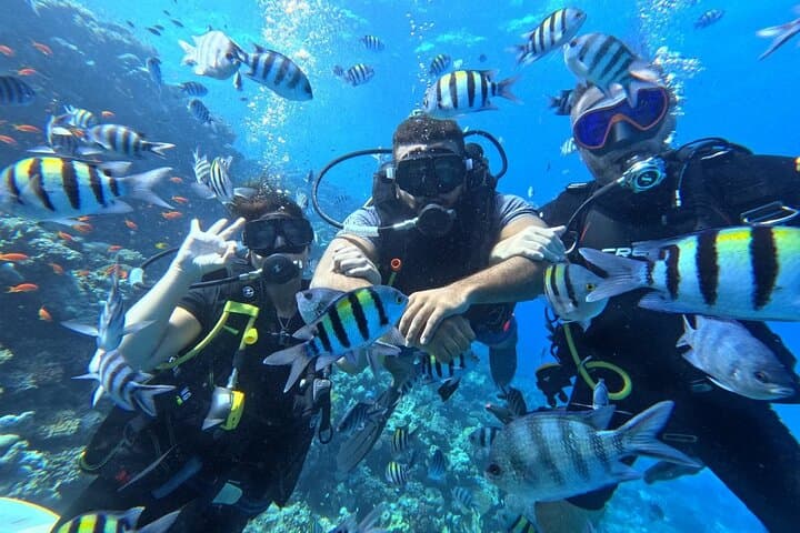 Hurghada Diving Adventure — One-Day Two-Dive Red Sea Boat Trip photo 2