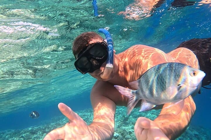 Hurghada Diving Adventure — One-Day Two-Dive Red Sea Boat Trip photo 3