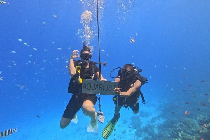 Hurghada Diving Adventure — One-Day Two-Dive Red Sea Boat Trip photo 5