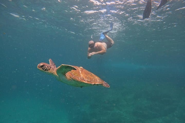 Private Snorkeling in Fujairah: Swim with Turtles & BBQ on a Private Boat photo 2