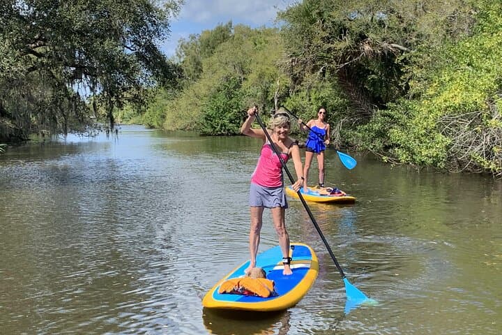 Explore Vero Beach on a Paddleboard: Indian River Lagoon SUP Rentals photo 5