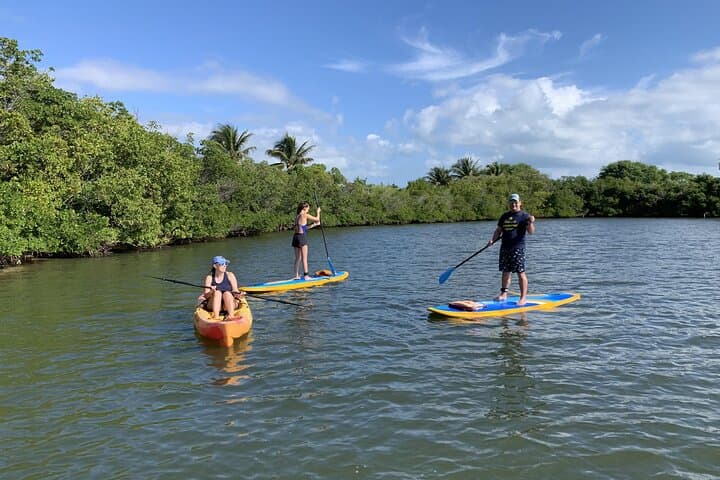 Explore Vero Beach on a Paddleboard: Indian River Lagoon SUP Rentals photo 6