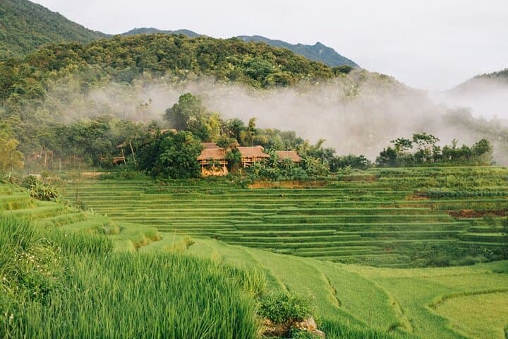 Mai Chau 2-Day Cultural Escape: Cycling, Stilt Houses & Rice Terraces from Hanoi photo 6