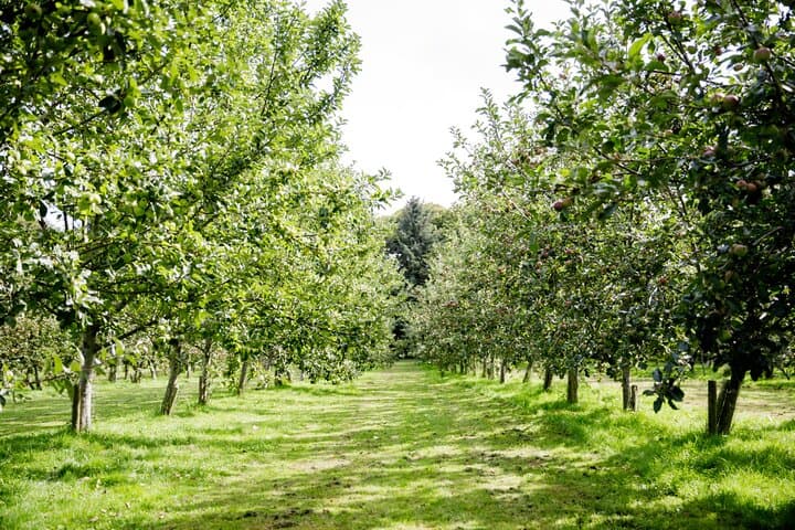 Sip and See: La Mare Vineyard & Distillery Tour — Jersey Tasting Experience photo 5