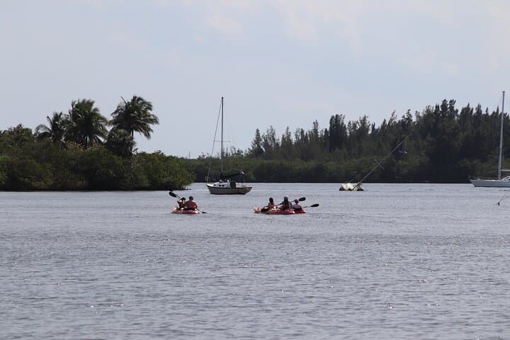Vero Beach Indian River Lagoon Kayak Rental — Calm Waters & Dolphin Sightings photo 4