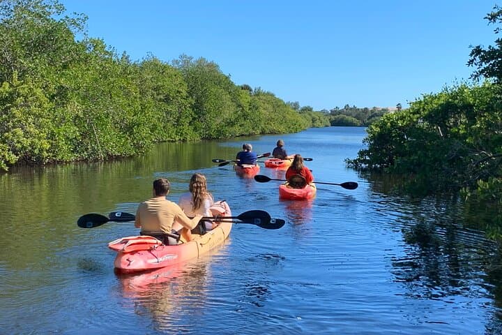 Vero Beach Indian River Lagoon Kayak Rental — Calm Waters & Dolphin Sightings