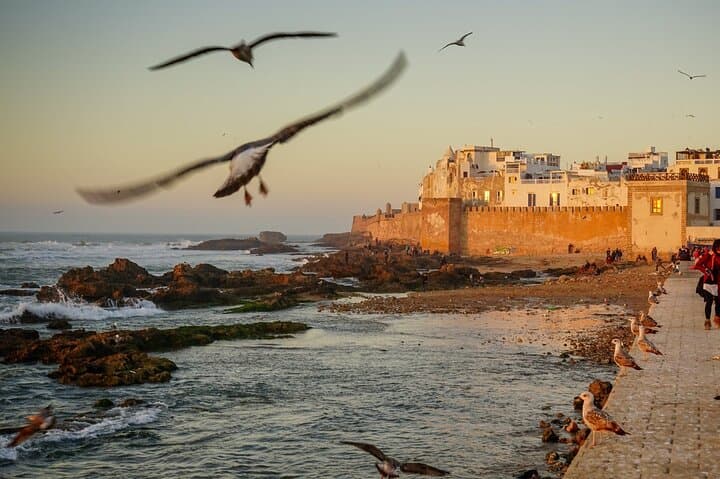 Full-Day Essaouira Day Trip from Marrakech: Beaches, Medina & Seafood photo 3