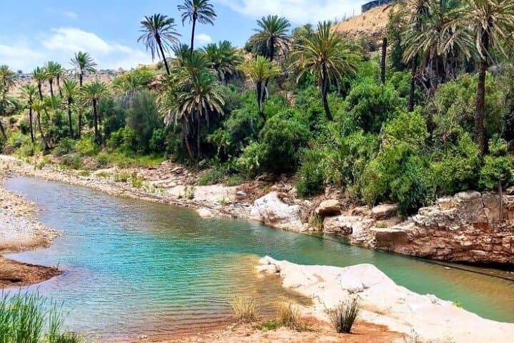 Paradise Valley Day Hike: Hidden Atlas Mountains Oasis from Agadir photo 6