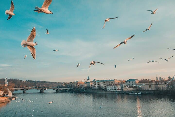Private 4-Hour Prague Driving Tour: Old Town, Castle & Hidden Gems photo 2