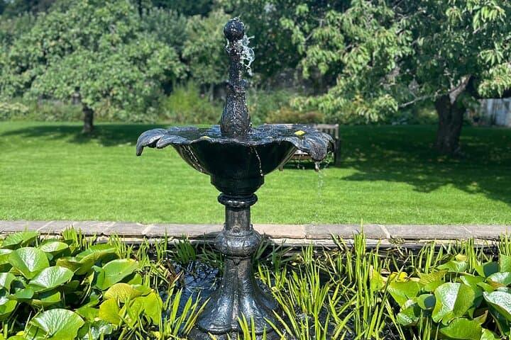 Traquair House to Dawyck: Private Scottish Borders Day Tour with Rosslyn Chapel photo 6
