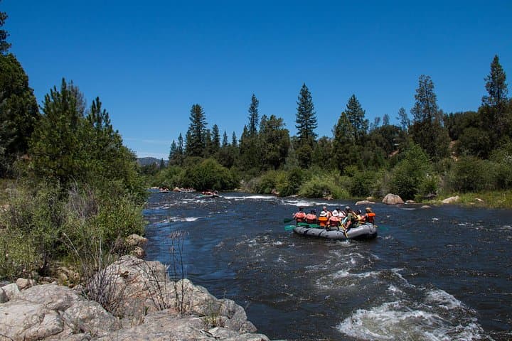 South Fork American River Rafting: Half-Day Class 3+ Adventure Near Sacramento photo 5