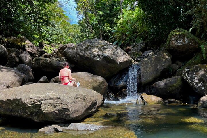 Private East Side Puerto Rico Tour: El Yunque, Luquillo Kiosks & Fajardo Beaches photo 4