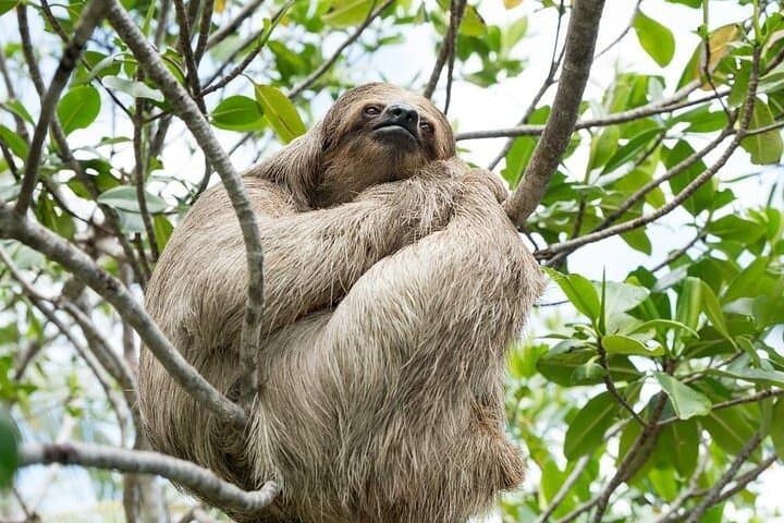 Roatan VIP Free-Style Private Tour — Custom 4-Hour Island Adventure photo 5