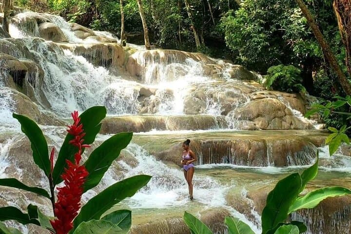 Private Dunn's River, Blue Hole & Luminous Lagoon Day Tour from Ocho Rios photo 3
