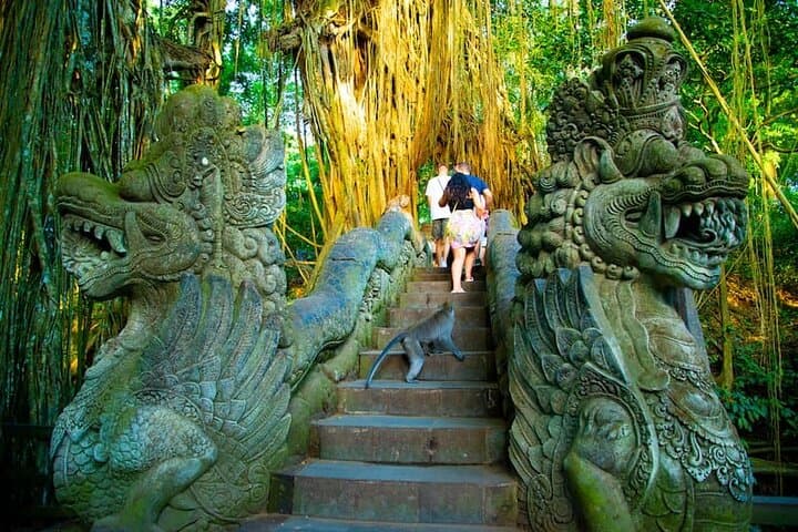 Ubud Day Tour: Waterfalls, Tegalalang Rice Terraces & Monkey Forest photo 4
