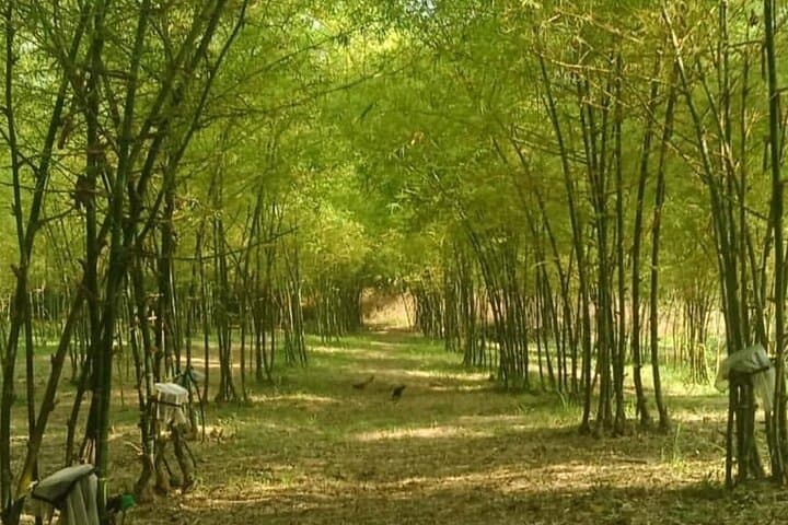 2-Day Mayon Volcano Adventure from Legazpi: ATV, Caves & Lakes photo 3