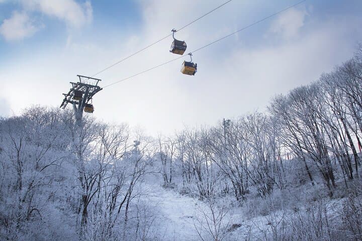 Phoenix Park Ski Escape: 3-Day Pyeongchang Ski & Snowboard Package from Seoul photo 4