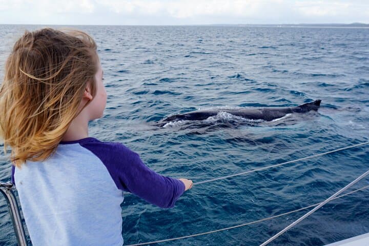 Private Overnight Skippered Humpback Whale-Watching Charter from Hervey Bay photo 3