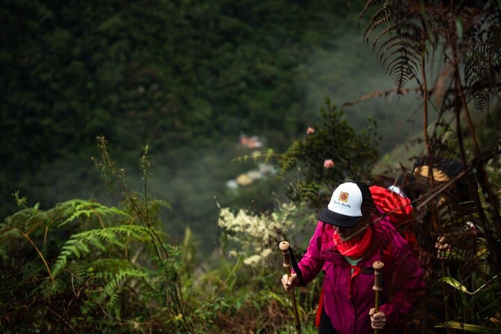 Short Inca Trail to Machu Picchu: 2-Day Trek Guide from Cusco photo 5