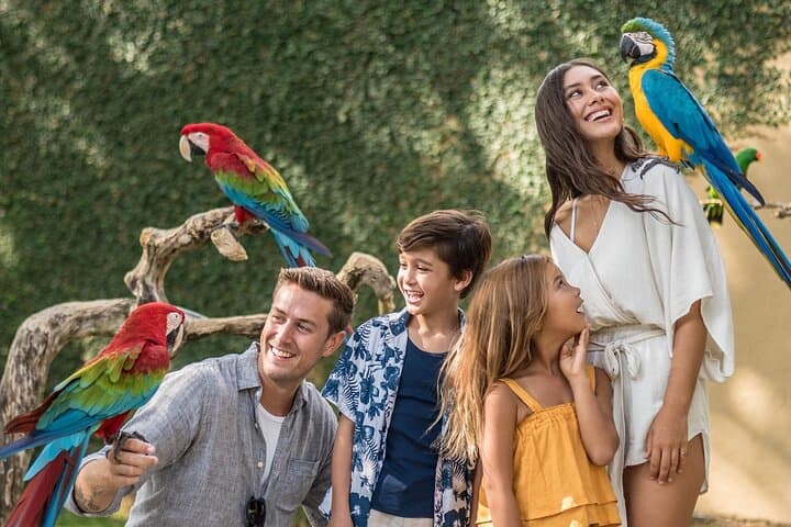 Bali Bird Park Entry: Walk Among 1,000 Birds Near Ubud