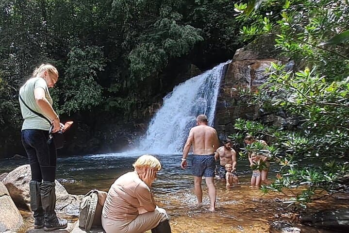 Sinharaja Rainforest Trip: Guided Day Hike in Sri Lanka’s UNESCO Forest