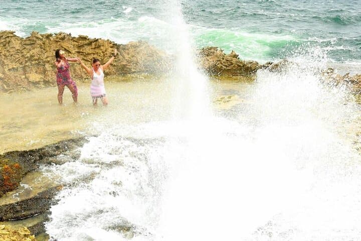 Inside Curaçao: A Private Guided Island Tour to Beaches, Turtles & Flamingos photo 4