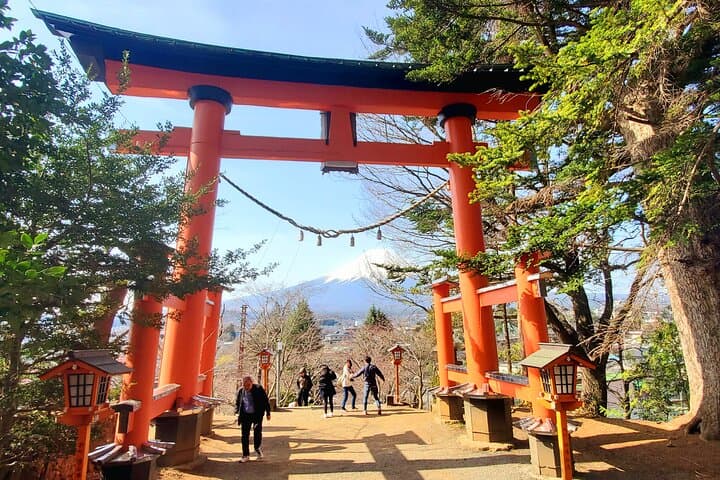 2-Day Tokyo to Mount Fuji & Hakone Private Tour — Chureito Pagoda, Lake Ashi & Hakone Ropeway photo 3