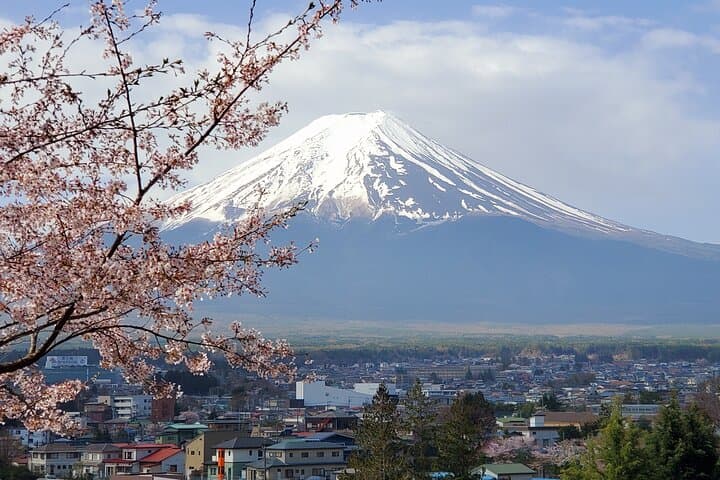 2-Day Tokyo to Mount Fuji & Hakone Private Tour — Chureito Pagoda, Lake Ashi & Hakone Ropeway