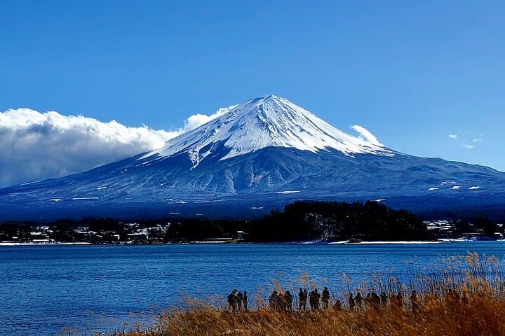 2-Day Tokyo to Mount Fuji & Hakone Private Tour — Chureito Pagoda, Lake Ashi & Hakone Ropeway photo 4
